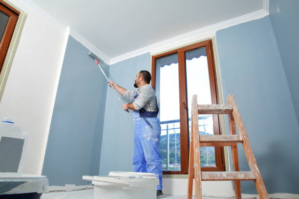 Best Water-Damaged Drywall Repair  in Fulda, MN